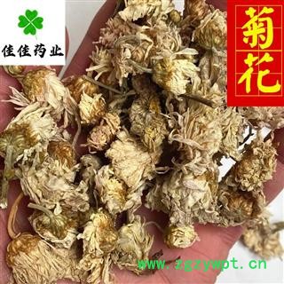 菊花 选 实物图 白菊花 药用菊花 实物图 新货 颜色好 干度好 产地 河北省图3