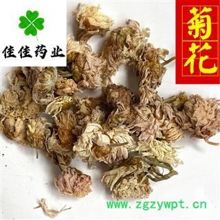 菊花 选 实物图 白菊花 药用菊花 实物图 新货 颜色好 干度好 产地 河北省图2