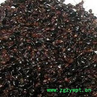 煜庭药业 红蚂蚁  批发各类昆虫图2