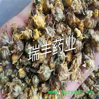 野菊花 统装 产地 湖南省图2