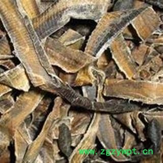 煜庭药业 地龙 正品图3