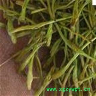 《满198包邮》山银花 山银花青花精选货 产地 湖南省图2