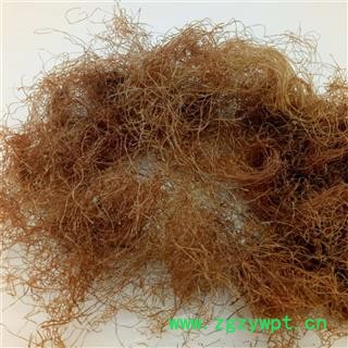 新鲜干玉米须无杂质 玉米须统货 玉米须茶产地 河南省图4