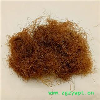 新鲜干玉米须无杂质 玉米须统货 玉米须茶产地 河南省图2