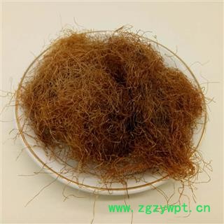 新鲜干玉米须无杂质 玉米须统货 玉米须茶产地 河南省图3