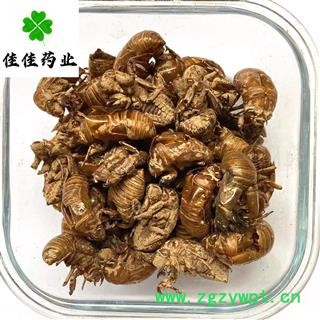 蝉蜕 蝉蜕好统货 过土筛 产地 山东省自然土 不掺假 无提取假品 农户收购 箱子包装 批发各类中药材 矿石等图2