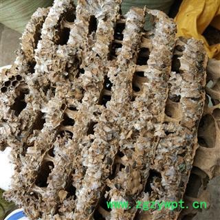 蜂房 硬蜂房统货 产地 山东省 山峰房 好统货 供应各钟中药材 冷背货 矿石等图2