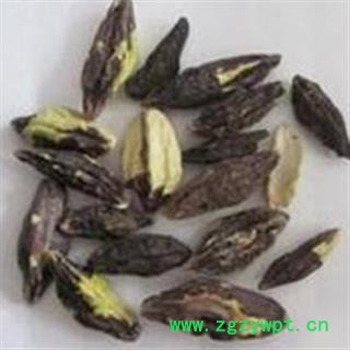 使君子 仁  使君子肉 净统 产地 重庆市市辖区万州区图2