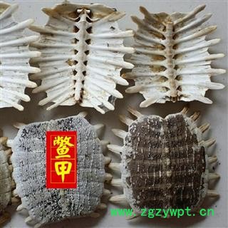 鳖甲 选 生鳖甲 干净 诚信铸就未来 供应各种中药材 产地 山东省图4