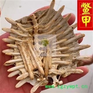 鳖甲 选 生鳖甲 干净 诚信铸就未来 供应各种中药材 产地 山东省图3