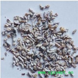 白丁香 统 产地 安徽省亳州市市辖区图2