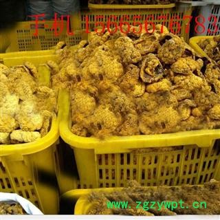 亳州花田错药业紫河车 统 产地 河南省图3