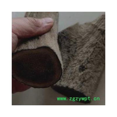 鹿茸 鹿茸段产地直供 产地 吉林省白山市抚松县