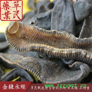 草民甄选金线水蛭 清水吊干货 非养殖 不增重 专业批发量大从优图2