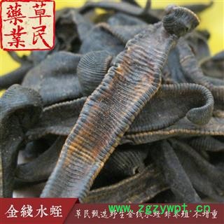 草民甄选金线水蛭 清水吊干货 非养殖 不增重 专业批发量大从优图3