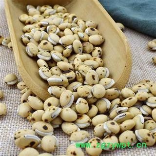 炒白扁豆 每一颗都是精挑细选正品保证质量7天无理由退货退款 中药材批发丽丽药业图2