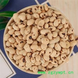 炒白扁豆 每一颗都是精挑细选正品保证质量7天无理由退货退款 中药材批发丽丽药业图3