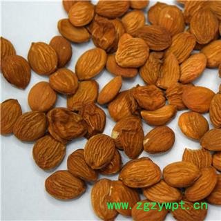 新辉药业桃仁图2