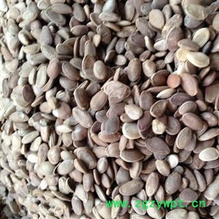 新辉药业中药材瓜蒌子 双边瓜蒌子图2