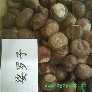 新辉药业娑罗子 苏罗子 棱罗子另有娑罗子片图2