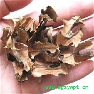 新辉药业正品分心木 新货供应图2