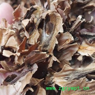 新辉药业正品分心木 新货供应图3