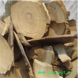 新辉药业中药材黄根 枸骨木图2