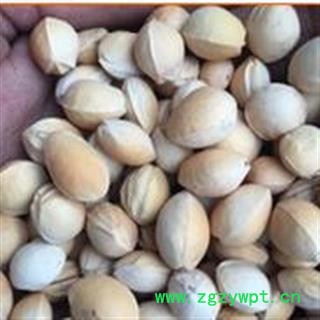 新辉药业中药材樱桃核 樱桃子 车厘子图2