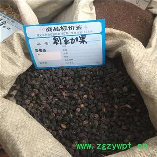 新辉药业刺五加 刺五加籽 另有刺五加多种规格图2