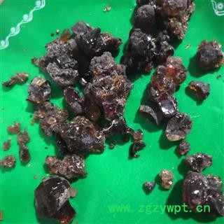 新辉药业梧桐子  梧桐泪  胡桐泪图2