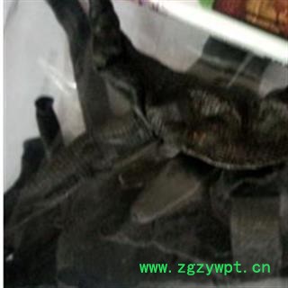 水蛭 清水 产地 江苏省徐州市图2