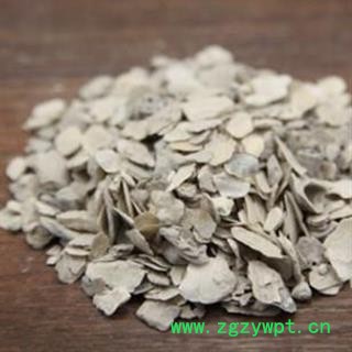 牡蛎 大统精品 产地 山东省