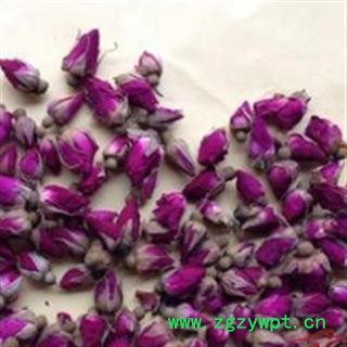 玫瑰花 甘肃苦水玫瑰 产地 甘肃省图2