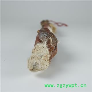 鹿鞭 鹿鞭250-300克 产地 吉林省白山市抚松县