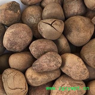 新辉药业正品大枫子  麻风子  大风子图2