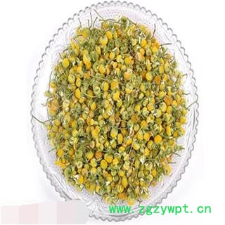 洋甘菊 统货 产地 海外  洋甘菊大货专营图2