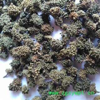 三七花 统 产地 云南省文山壮族苗族自治州 批发各种中药材 花茶 矿石图2