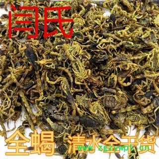 全蝎 全蝎 清水全干货图2