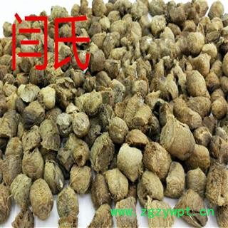 桑螵蛸 桑螵蛸全干货图3