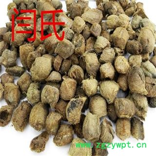 桑螵蛸 桑螵蛸全干货图4