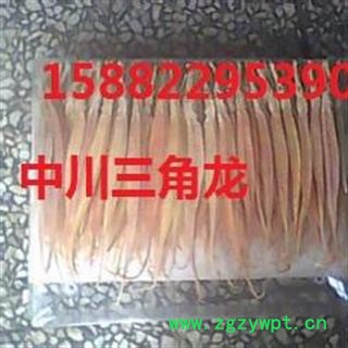 中川三角龙大统货直销 产地进口印尼 库存500可售图2