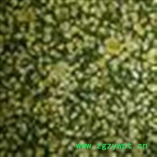 胎菊 统 产地 安徽省图2