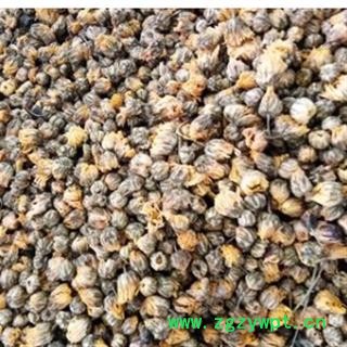 野菊花 野菊花统货 产地 河南省图2