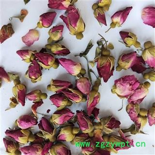 玫瑰花 甘肃苦水玫瑰王 产地 甘肃省图2