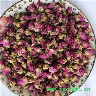 玫瑰花 甘肃苦水玫瑰王 产地 甘肃省图4