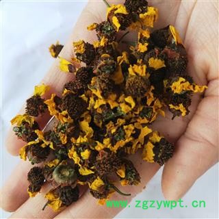 雪菊 本店新到昆仑雪菊好货干净无杂质 产地 新疆维吾尔自治区图2