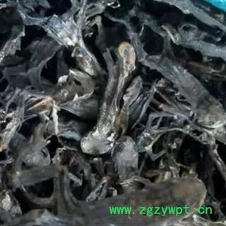 京辉药业 干蟾 干蟾皮干蟾蜍 蟾蜍干 癞蛤蟆干 蟾皮 干蟾个图2