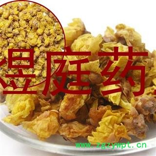 煜庭药业 蜡梅花 腊梅花 新货图3