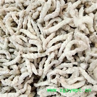 僵蚕 统 产地 四川省图2