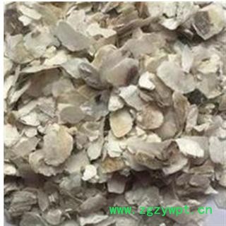 牡蛎 产地直销大货牡蛎 产地 山东省图3